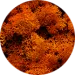оранжев мъх