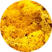 жълт